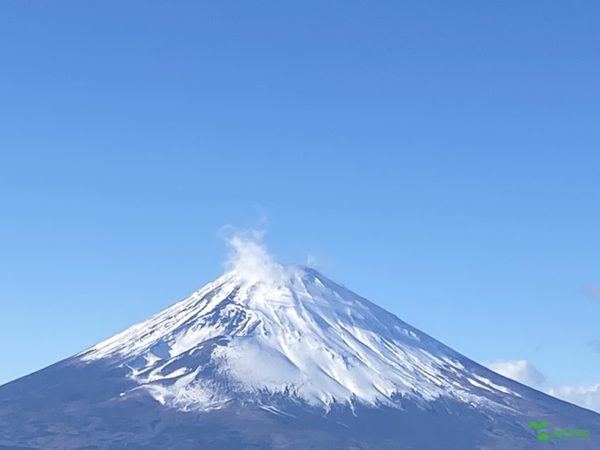 横浜市青葉区庭デザイン　ガーデンコンサルタント　ヴィーガン