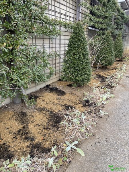 横浜市青葉区庭デザイン　ガーデンコンサルタント　地球環境