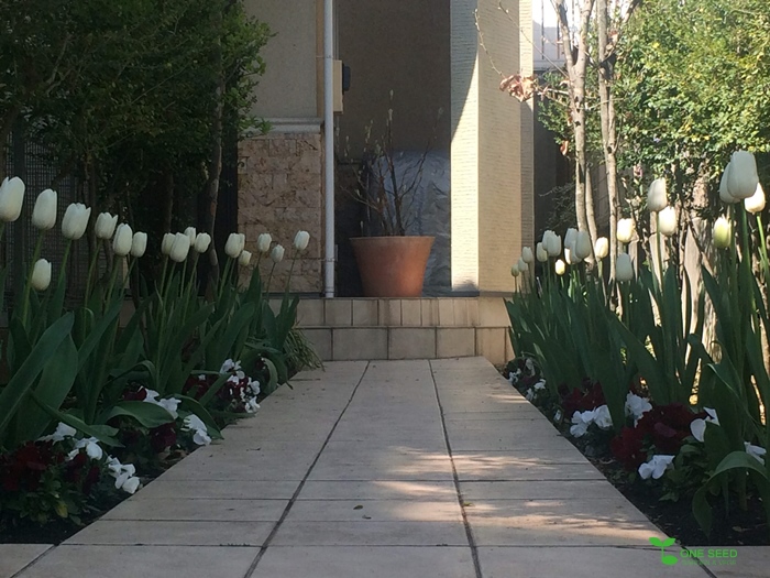 横浜市青葉区庭デザイン　ガーデンコンサルタント　