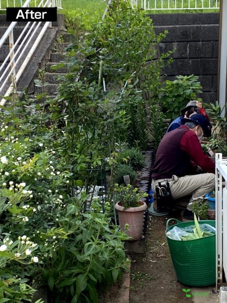 横浜市青葉区庭デザイン　ガーデンコンサルタント　