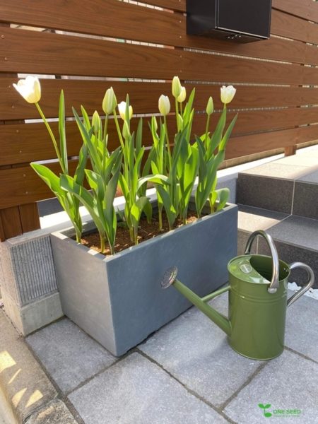 エントランスデザイン 植栽デザイン