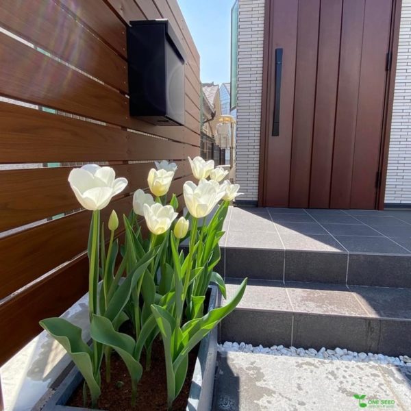 エントランスデザイン　植栽デザイン