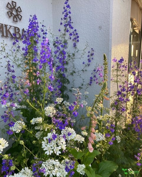 庭デザイン　ガーデンデザイン　庭相談　定期管理