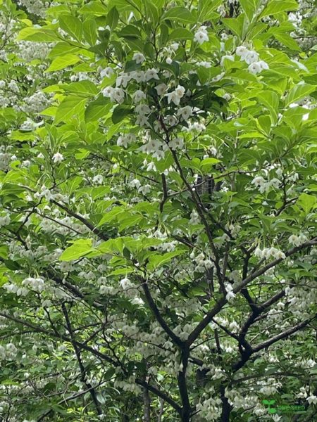 庭デザイン　ガーデンデザイン　庭相談　定期管理