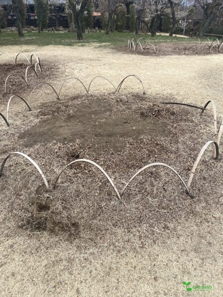 横浜市青葉区　庭　ガーデンデザイン　ガーデニング