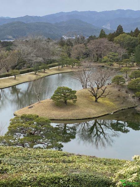 横浜市青葉区 庭 ガーデンデザイン ガーデニング