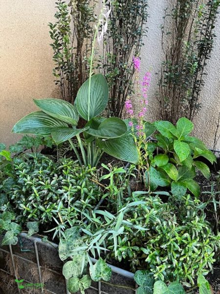 横浜市青葉区　庭　ガーデンデザイン　ガーデニング