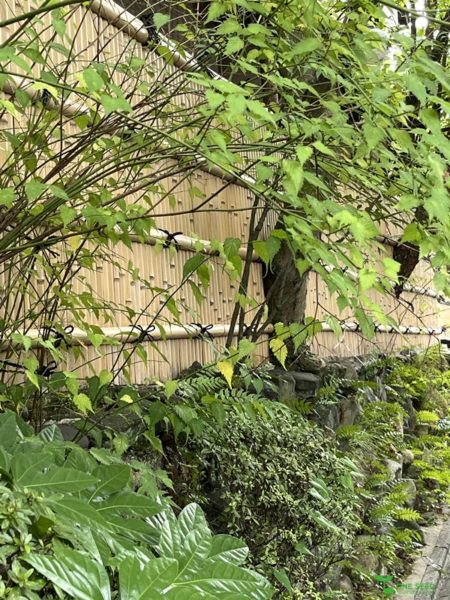 横浜市青葉区　庭　ガーデンデザイン　ガーデニング