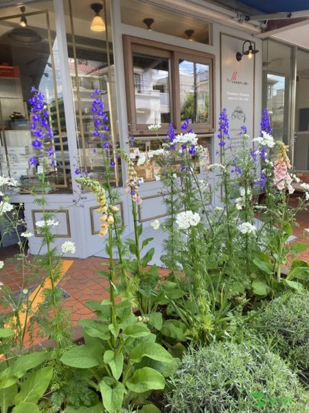 横浜市青葉区　庭　ガーデンデザイン　ガーデニング