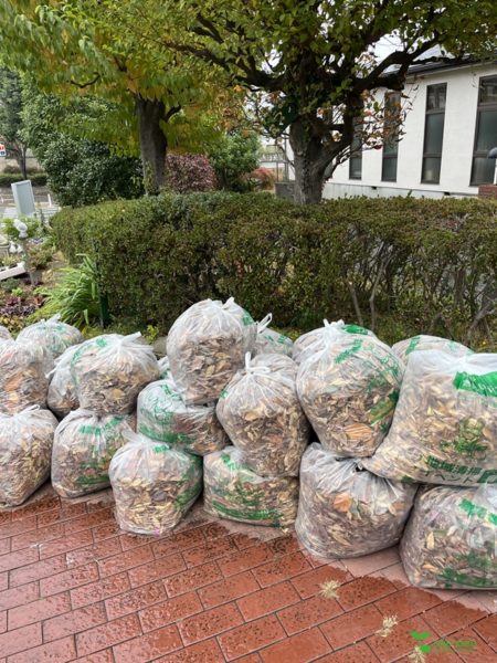 横浜市青葉区　庭　ガーデンデザイン　ガーデニング