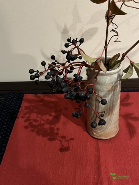 横浜市青葉区　庭　ガーデンデザイン　ガーデニング