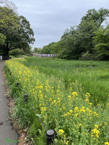 横浜市青葉区　庭　ガーデンデザイン　里山