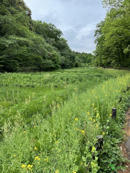 横浜市青葉区　庭　ガーデンデザイン　里山