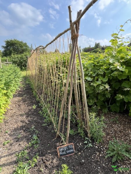 横浜市青葉区　庭　ガーデンデザイン　ガーデニング