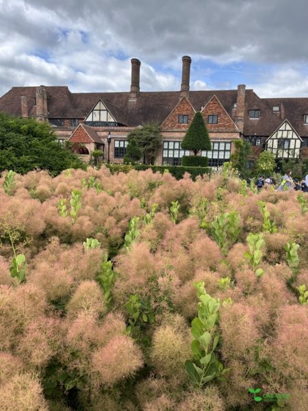 横浜市青葉区　庭　ガーデンデザイン　ガーデニング