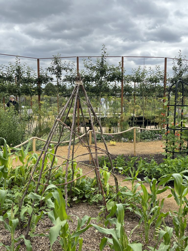横浜市青葉区　庭　ガーデンデザイン　ガーデニング