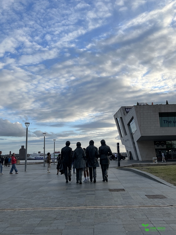 横浜市青葉区　庭　庭リフォーム　ガーデンデザイン