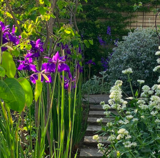 横浜市 青葉区 ガーデニング 庭づくり