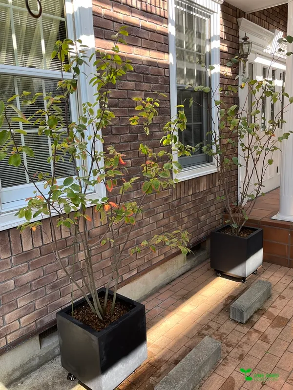 横浜市青葉区 庭 ガーデニング ガーデンデザイン 庭リフォーム