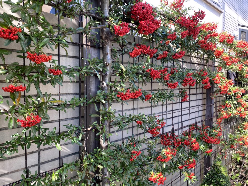 横浜市 青葉区 ガーデニング 庭づくり