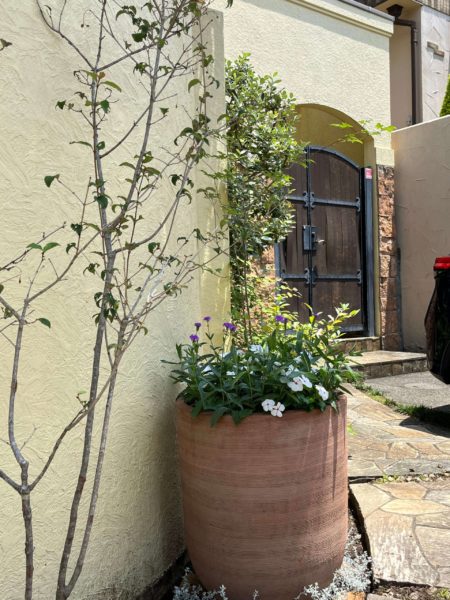 横浜市青葉区 たまプラーザ 庭 ガーデニング