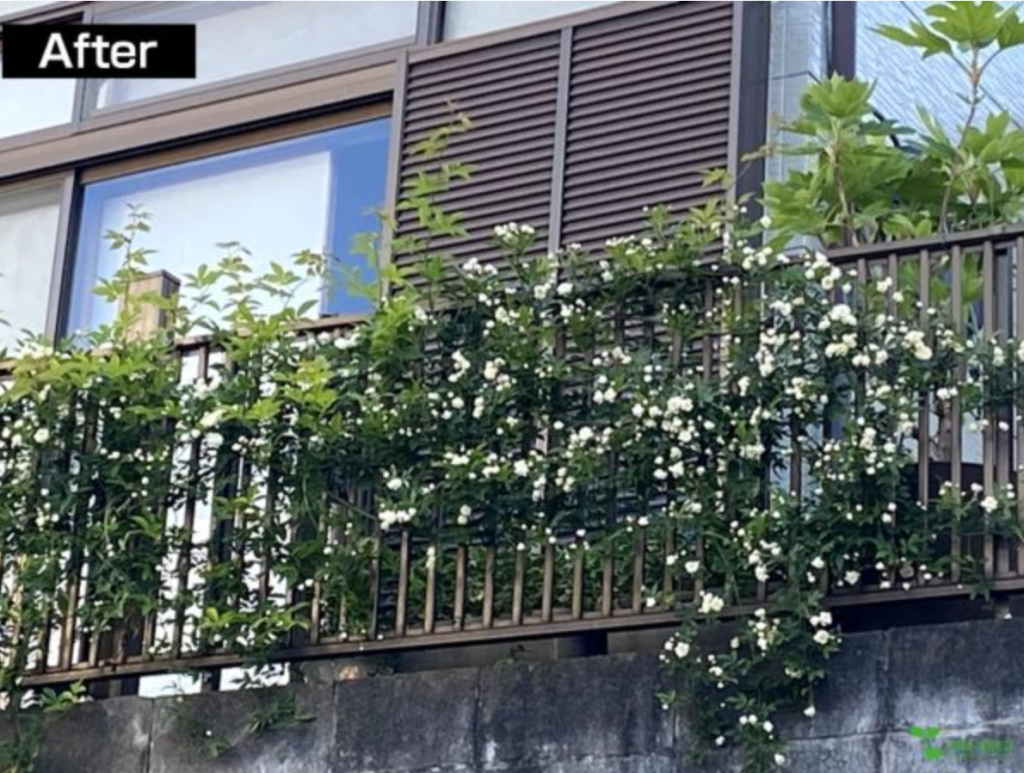 横浜市青葉区　庭　ガーデニング　ガーデンデザイン　庭リフォーム