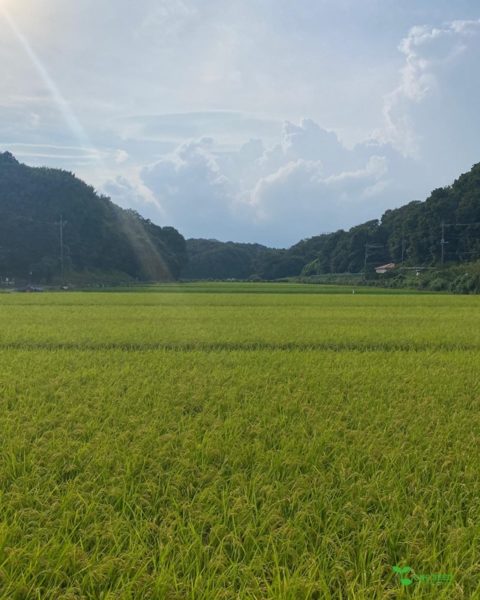 横浜市青葉区　庭　ガーデニング　ガーデンデザイン　庭リフォーム