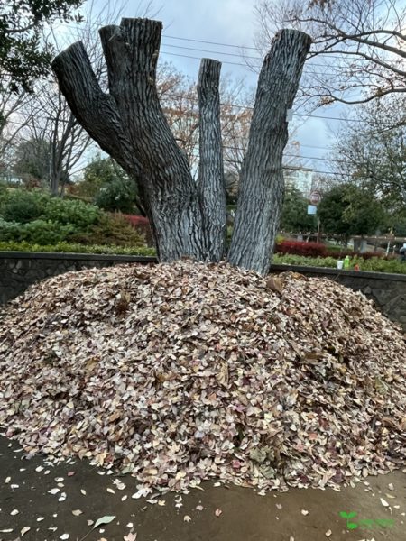 横浜市青葉区　庭　ガーデニング　ガーデンデザイン　庭リフォーム