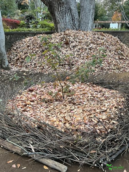 横浜市青葉区　庭　ガーデニング　ガーデンデザイン　庭リフォーム