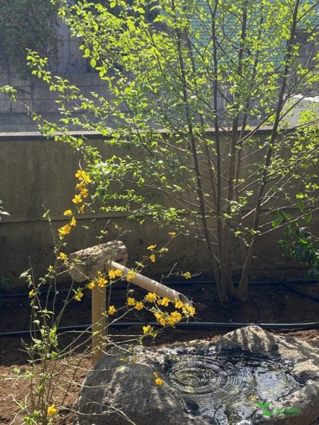 横浜市青葉区　ガーデデザイン　庭　ガーデニング　庭リフォーム