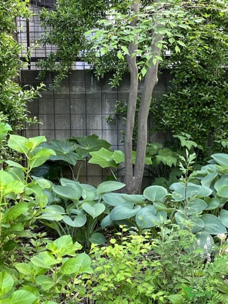 横浜市青葉区　庭　ガーデンデザイン　庭リフォーム