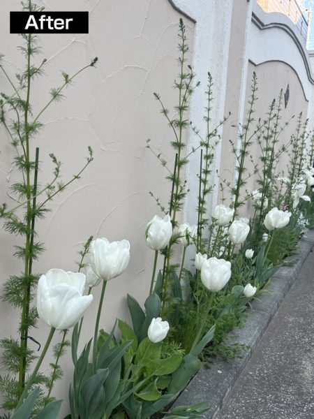 ガーデンデザイン　ガーデニング　庭リフォーム 横浜市青葉区　オーガニックガーデン