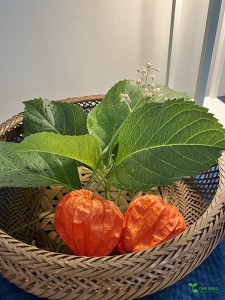 横浜市青葉区　庭　ガーデンデザイン　庭リフォーム