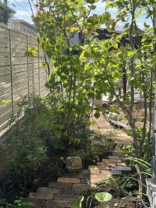 横浜市青葉区たまプラーザ　ガーデニング　庭デザイン　オーガニックな庭造り