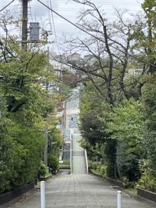 横浜市青葉区　ガーデンデザイン　ガーデニング　庭　オーガニック