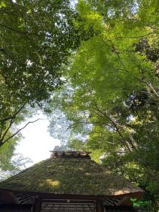 横浜市青葉区　古民家の庭　庭のリフォーム　ガーデンデザイン